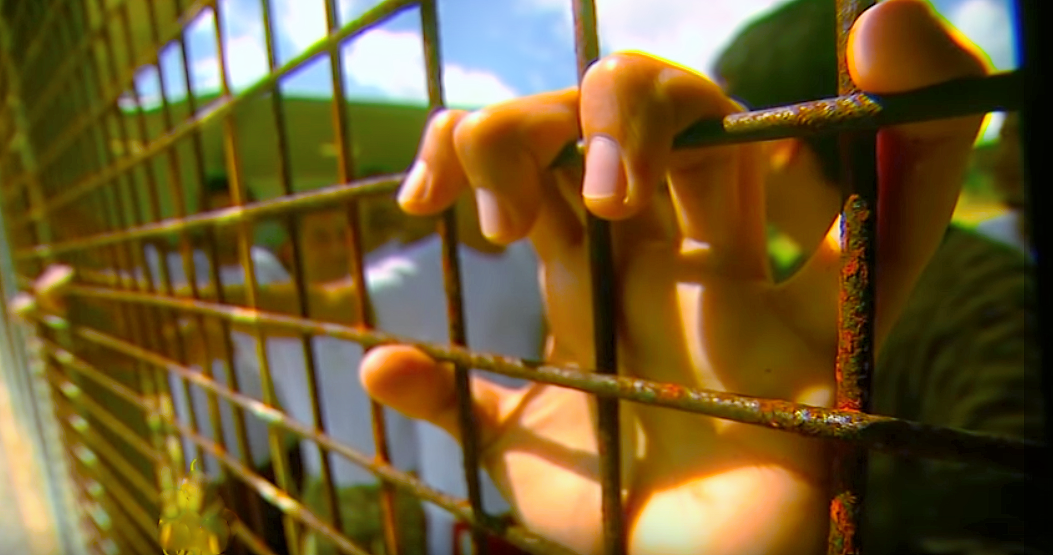 Bir imza da senden: ‘Siyasi mahpuslara eşit indirim’ imza kampanyası çığ gibi büyüyor