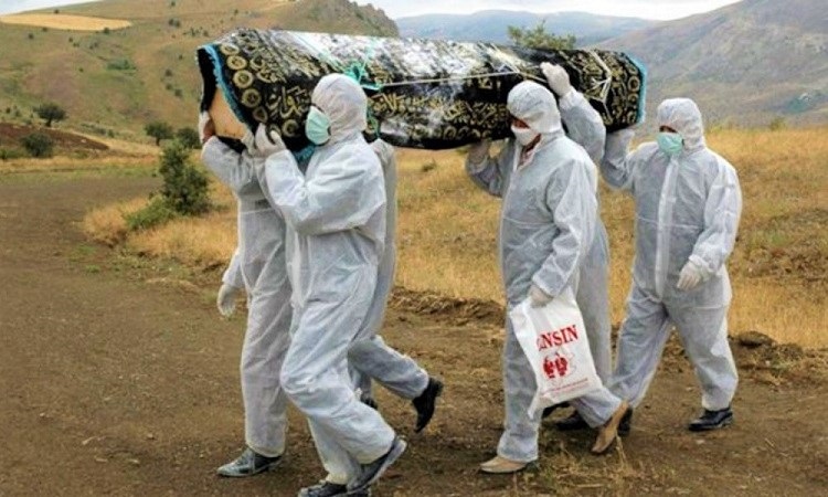 Koronavirüsü, Nemrut’un sineği!