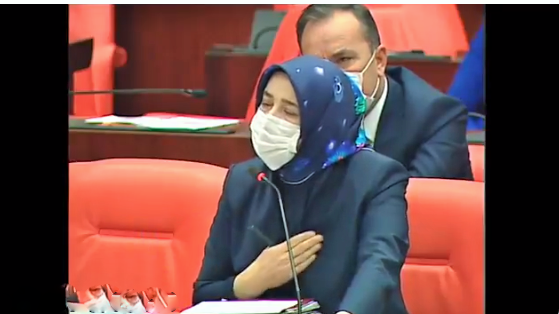 Siyasi tutukluları terör sepetine koyan AKP’li Özlem Zengin’e tepki!