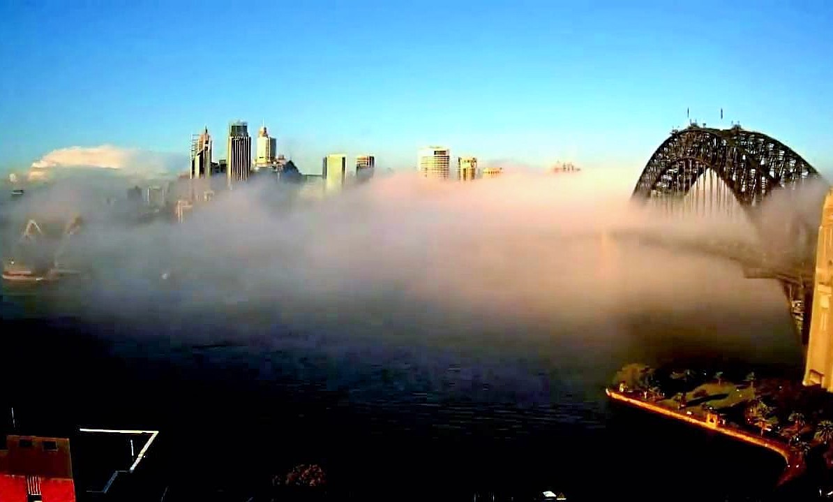 Sidney sis altında kaldı