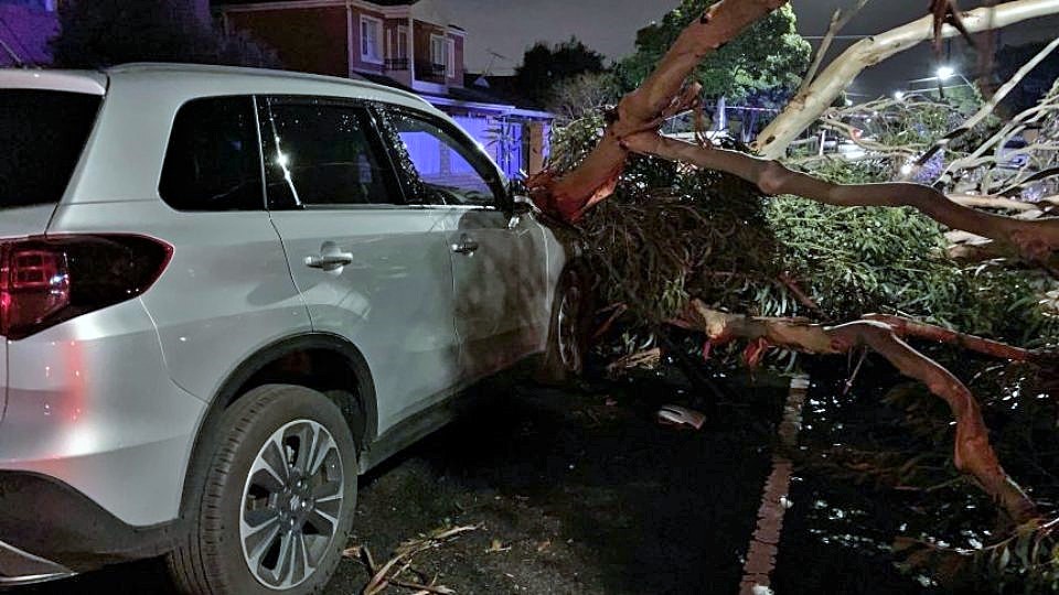 Melbourne’de şiddetli fırtınadan sonra su sıkıntısı: Marketlerde su stokları tükendi