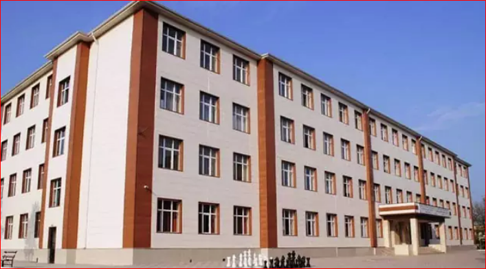 Hukuksuzluk Gürcistan’a yansıdı: Hizmet okullarının kapatılması girişimine tepki yağdı