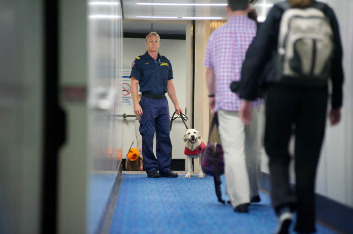 Avusturalyalı tüketici 19 bin dolarlık çanta aldı, ülkeye sokamadı