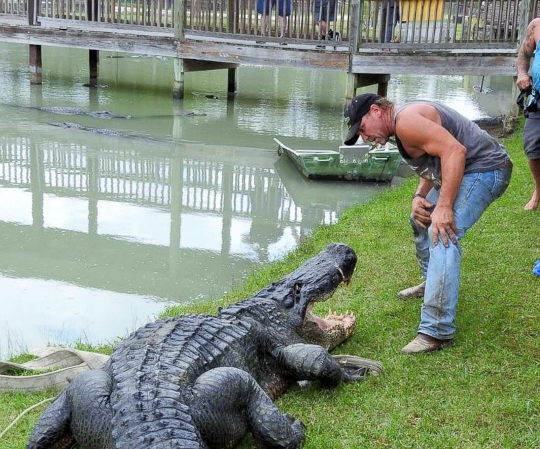 Kafasını ısıran timsahın çenesini elleriyle açarak yem olmaktan kurtuldu