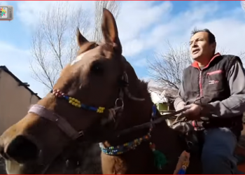 Mesleği gasp edilen KHK’lı öğretmen köyünde çiftçilik yapıyor