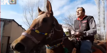 Mesleği gasp edilen KHK’lı öğretmen köyünde çiftçilik yapıyor