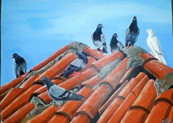 Beyaz Sayfa ’dan anlamlı bir yorum: Güvercinler ağlamaz!