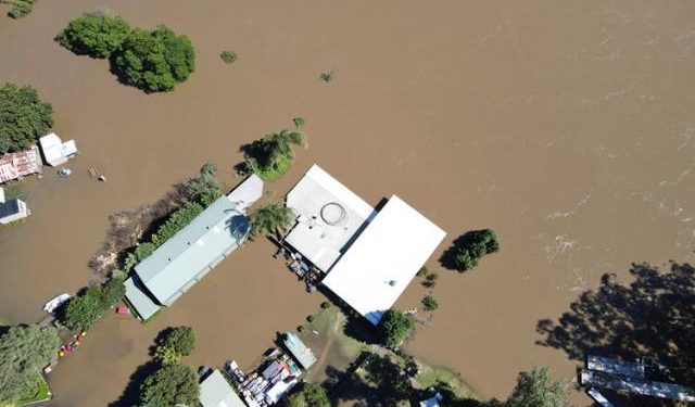 Sel felaketinden sonra, yüzlerce yılan ve zehirli örümcek evleri bastı