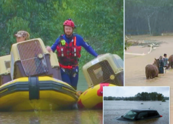 800 görevli tahliye çalışmalarını sürdürüyor: Sel felaketi nedeniyle “doğal afet” ilan edildi