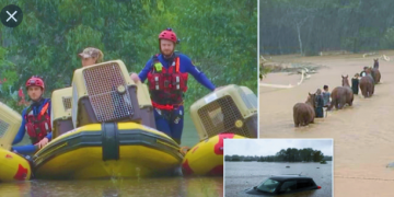 800 görevli tahliye çalışmalarını sürdürüyor: Sel felaketi nedeniyle “doğal afet” ilan edildi