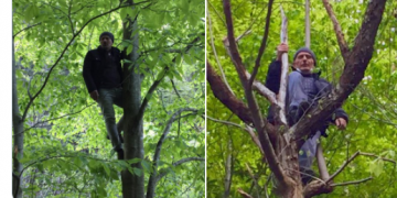 Yandaş Holding dere-tepe düz gidiyor: İkizdereliler, doğa katliamına ağaçlara çıkarak direniyor