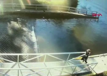 Tasmanya’da kontrolden çıkan jet ski dehşet saçtı