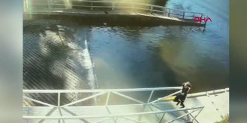 Tasmanya’da kontrolden çıkan jet ski dehşet saçtı