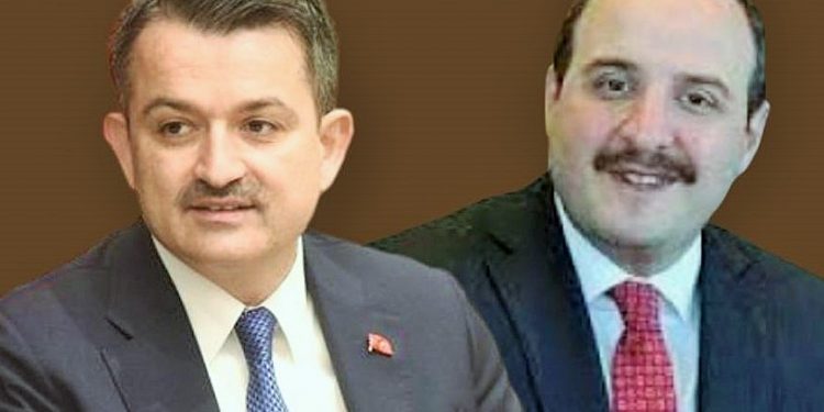 AA muhabirinden 2 AKP’li Bakana zor soru: Çocuğumun yüzüne bakarken utanıyorum, sizlerin çocukları yok mu?