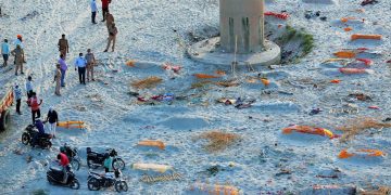 Yağmur, cesetleri açığa çıkardı: Hindistan’da Ganj kıyısına gömülmüş yüzlerce ceset bulundu