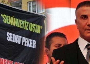 Dışişleri eski Bakanı, Peker’i Arab News’e yazdı: Erdoğan’ın karanlık dünyasının kapağı kaldırıldı