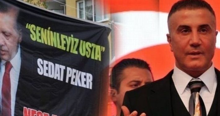 Dışişleri eski Bakanı, Peker’i Arab News’e yazdı: Erdoğan’ın karanlık dünyasının kapağı kaldırıldı