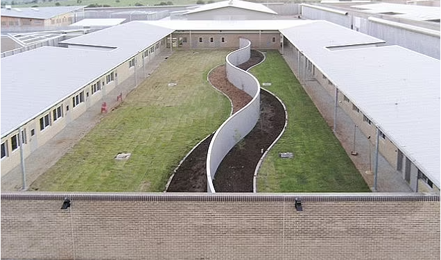 En büyük fare istilası: NSW Eyaleti’ndeki mahkumlar başka cezaevlerine nakledildi