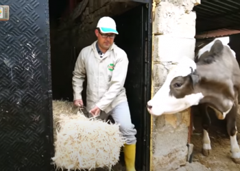 KHK’lı hakim Eyüp Sarı: İhraç edilecekler listesi 15 Temmuz’dan çok önce hazırlanmış