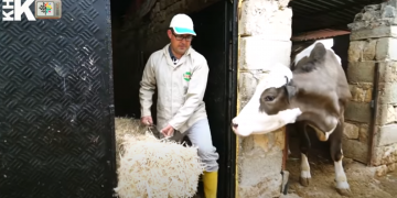 KHK’lı hakim Eyüp Sarı: İhraç edilecekler listesi 15 Temmuz’dan çok önce hazırlanmış