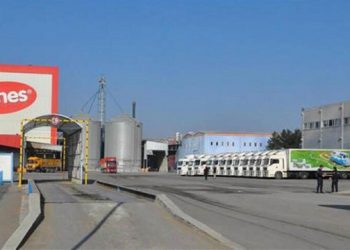 Sürat Kargo’yu Bilal Erdoğan’ın yakınına devretmişti: TMSF, Aynes Gıda’yı da satışa çıkardı