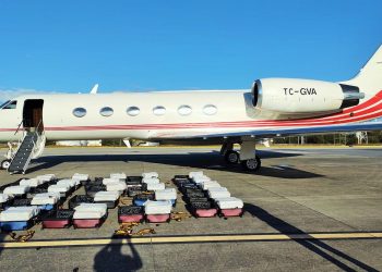 Brezilya’da bir Türk jetinde 1,3 ton kokain ele geçirildi