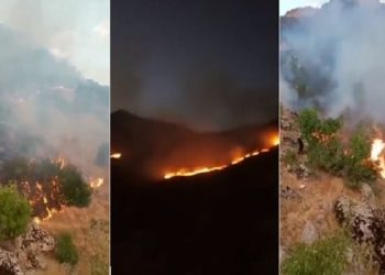 Sanatçı Ferhat Tunç’dan çağırı:  Hakkâri Şemdinli’de orman 3 gündür yanıyor, hiçbir müdahale yok