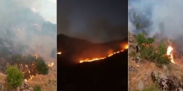 Sanatçı Ferhat Tunç’dan çağırı:  Hakkâri Şemdinli’de orman 3 gündür yanıyor, hiçbir müdahale yok