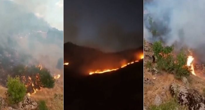 Sanatçı Ferhat Tunç’dan çağırı:  Hakkâri Şemdinli’de orman 3 gündür yanıyor, hiçbir müdahale yok