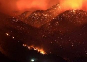 İktidar seyirci, devlet engelliyor: Tunceli’de 11 gündür yanan ormana havadan müdahale edilmedi