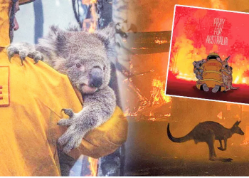 Yanan ormanlarda yeşeren umut filizleri