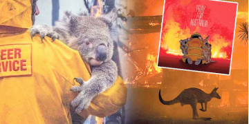 Yanan ormanlarda yeşeren umut filizleri