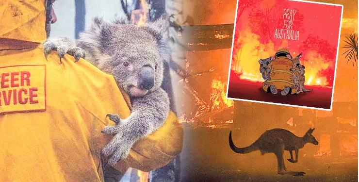 Yanan ormanlarda yeşeren umut filizleri