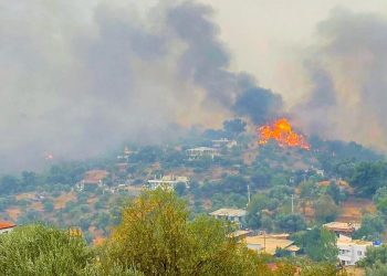 Milas’ta alevler Kemerköy Termik Santrale sıçradı, tahliyeler başladı