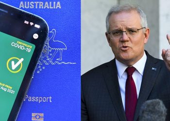 COVID-19 pasaportu Ekim’de: Aşılama oranı yüzde 80’i bulunca kapılar açılacak