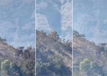 Tunceli’de yangından kaçan dağ keçileri görüntülendi