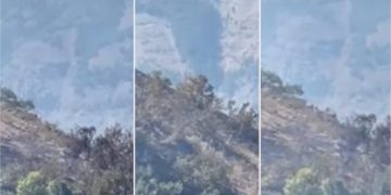 Tunceli’de yangından kaçan dağ keçileri görüntülendi