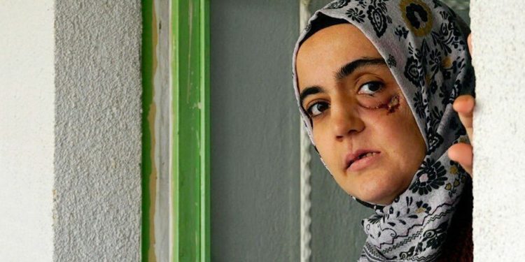 Hukukçu Prof. Dr. Hatemi: Ayşe Özdoğan’ın tutuklanma kararı yürek sızlatıyo