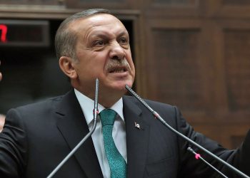 Hollandalı vekillerden Erdoğan’a tepki: Gülünç bir hareket, aklını kaybetmiş