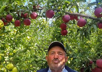 Elmanın faydaları saymakla bitmiyor