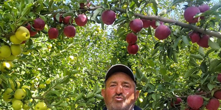 Elmanın faydaları saymakla bitmiyor