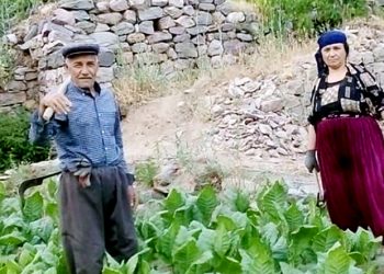 Zulümde zirve: Cezaevinde vefat eden 70 yaşındaki Turan’a Kayyım Belediyesi tabut vermedi, imam namazını kıldırmadı