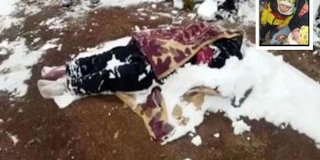 Van’da mülteci dramı:Fedakâr Afganistalı  anne çocukları donmasın diye kendini feda etti