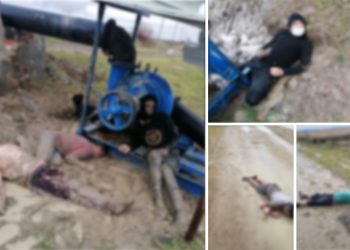 Meriçte insanlık faciası: Yunanistan’ın darp edip, ‘geri ittiği’ 24 mülteciden 12’si donarak öldü