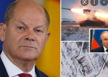 Almanya Başbakanı:Ukrayna’daki arkadaşlarımıza 1000 adet tanksavar ve 500 adet Stinger füzesi ulaştırıyoruz