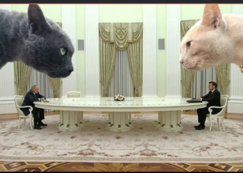 Putin’in, Krelmin’de  Macron’u ağırladığı dev masa dalga konusu oldu: Birbirlerini duyamamaları nedeniyle 4.5 saat sürmüş