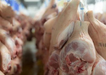 Erdoğan imzaladı: Domuz eti ithalatında gümrük vergisi düşürüldü