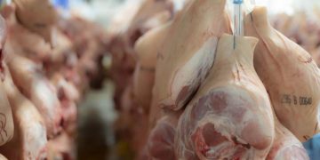 Erdoğan imzaladı: Domuz eti ithalatında gümrük vergisi düşürüldü