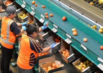 Avustralya’da işçi ihtiyacına çözüm: 110 bin vasıflı işçi kabul edilecek