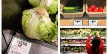 Avustralya’da yaşanan selin ardından marul kıtlığı yaşanıyor